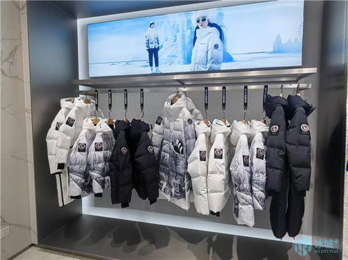 刷新當年落地 當年生產(chǎn) 當年上市的 哈爾濱速度 立冬時節(jié) 爾濱 波司登 如約而至