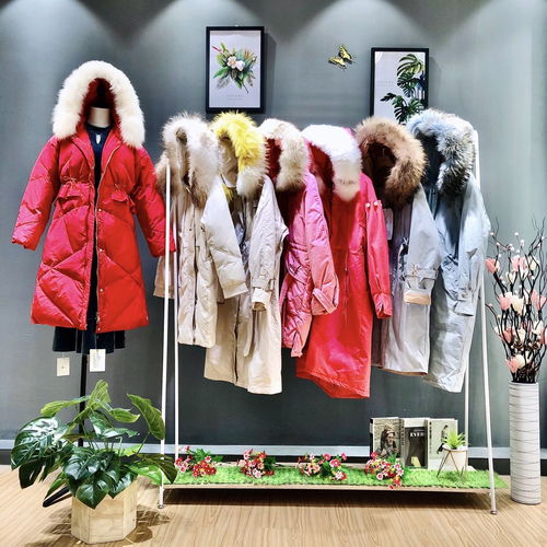 冬季輕奢風(fēng)尚 西樹影黛皮草羽絨服——專柜品質(zhì)與品牌折扣的完美融合